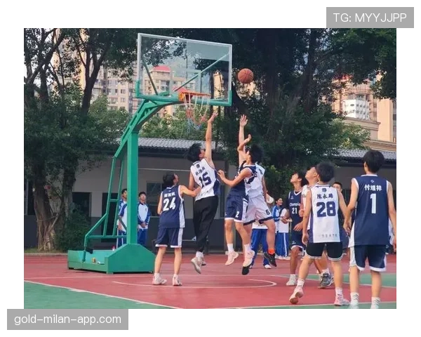 篮球比赛最后一投判定规则的具体执行标准